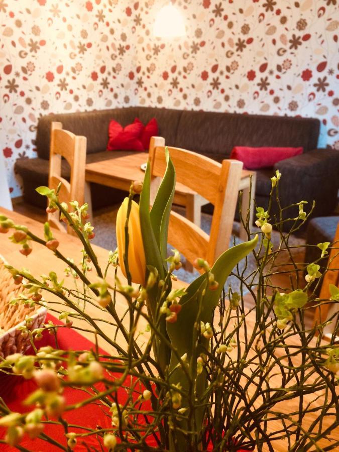 Haus Am Gruendel Apartment Altenberg ภายนอก รูปภาพ