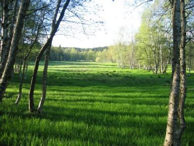 Haus Am Gruendel Apartment Altenberg ภายนอก รูปภาพ
