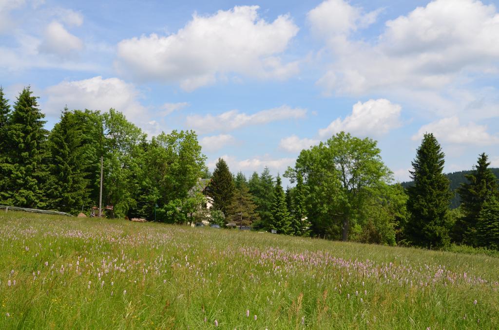 Haus Am Gruendel Apartment Altenberg ภายนอก รูปภาพ
